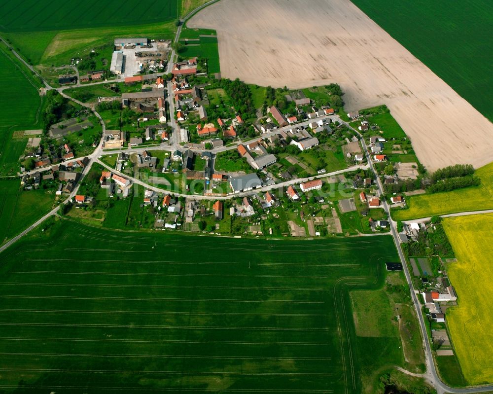 Luftaufnahme Dalchau - Dorfkern am Feldrand in Dalchau im Bundesland Sachsen-Anhalt, Deutschland