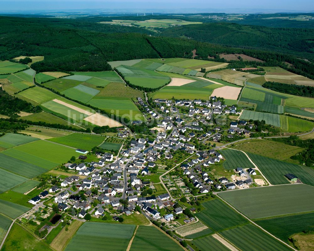 Luftaufnahme Damscheid - Dorfkern am Feldrand in Damscheid im Bundesland Rheinland-Pfalz, Deutschland