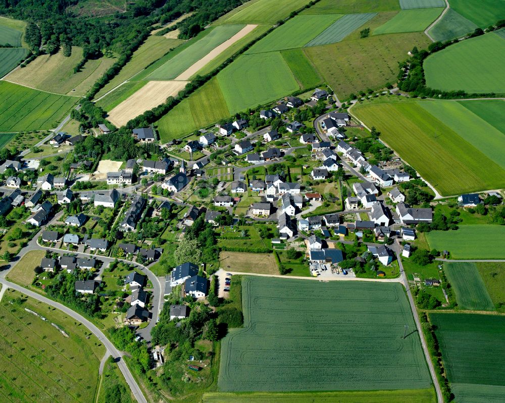 Damscheid von oben - Dorfkern am Feldrand in Damscheid im Bundesland Rheinland-Pfalz, Deutschland