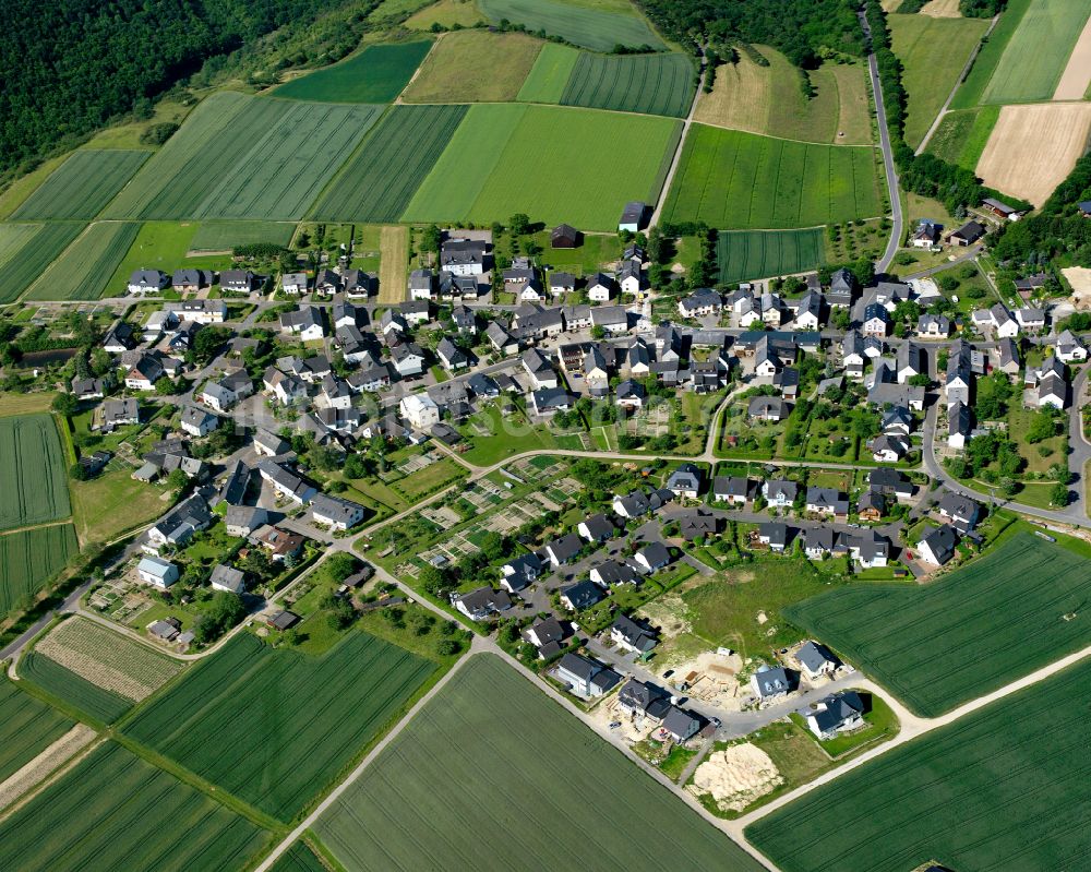 Damscheid aus der Vogelperspektive: Dorfkern am Feldrand in Damscheid im Bundesland Rheinland-Pfalz, Deutschland