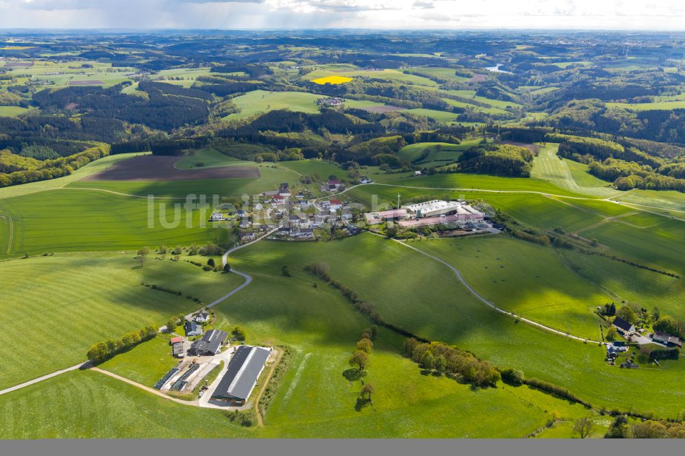 Delle aus der Vogelperspektive: Dorfkern am Feldrand in Delle im Bundesland Nordrhein-Westfalen, Deutschland