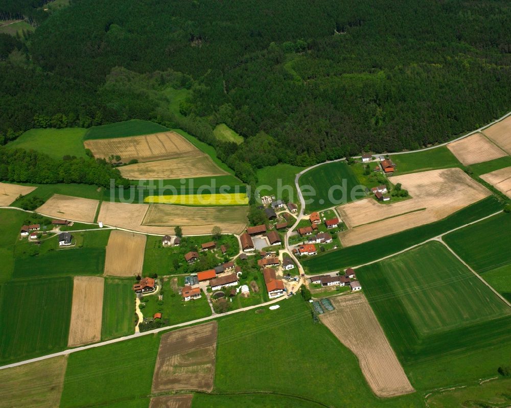 Luftbild Dellendorf - Dorfkern am Feldrand in Dellendorf im Bundesland Bayern, Deutschland