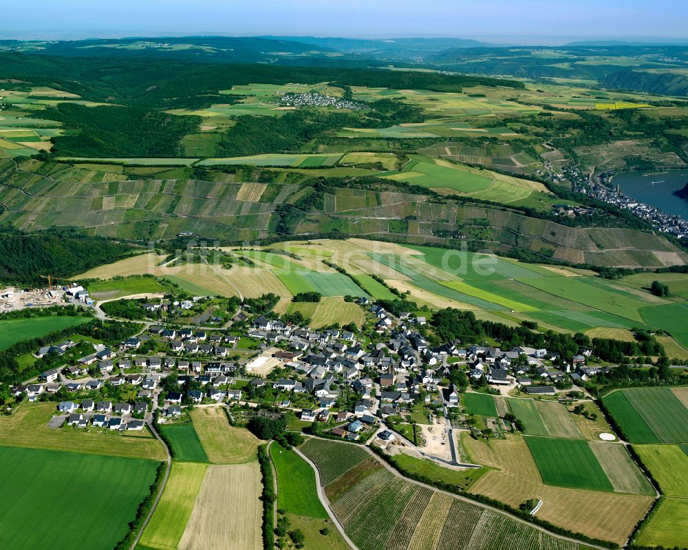Luftbild Dellhofen - Dorfkern am Feldrand in Dellhofen im Bundesland Rheinland-Pfalz, Deutschland