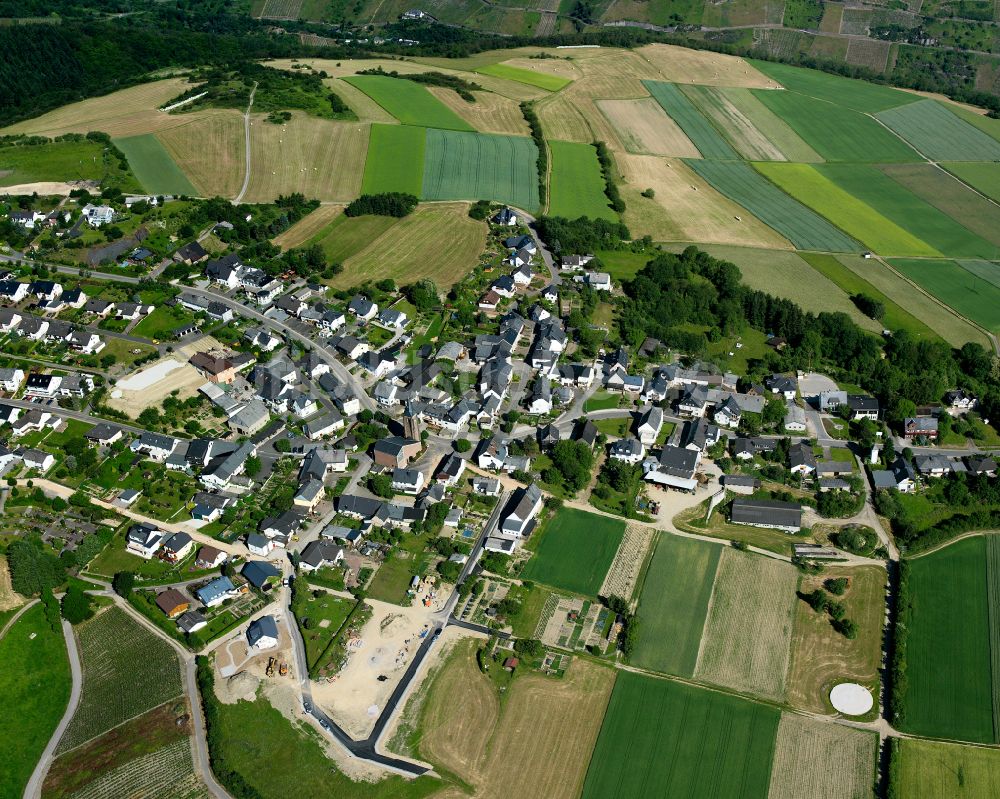 Luftaufnahme Dellhofen - Dorfkern am Feldrand in Dellhofen im Bundesland Rheinland-Pfalz, Deutschland