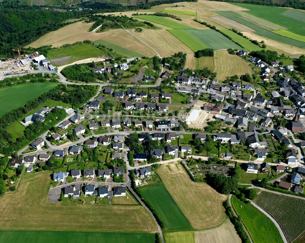 Dellhofen von oben - Dorfkern am Feldrand in Dellhofen im Bundesland Rheinland-Pfalz, Deutschland