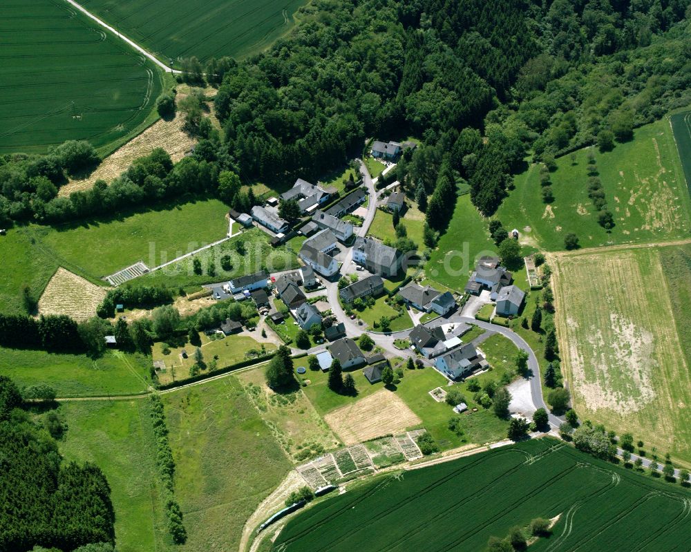 Luftbild Dieler - Dorfkern am Feldrand in Dieler im Bundesland Rheinland-Pfalz, Deutschland