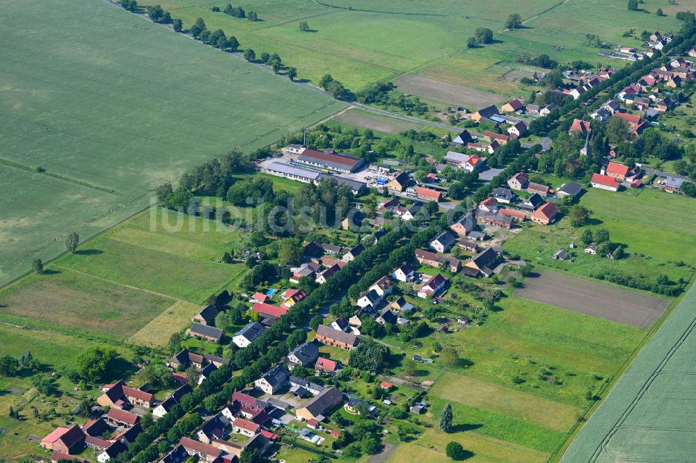 Dierberg von oben - Dorfkern am Feldrand in Dierberg im Bundesland Brandenburg, Deutschland