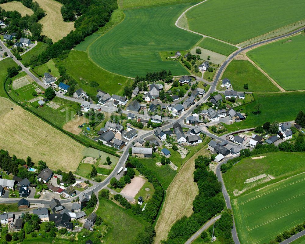 Luftaufnahme Dillendorf - Dorfkern am Feldrand in Dillendorf im Bundesland Rheinland-Pfalz, Deutschland