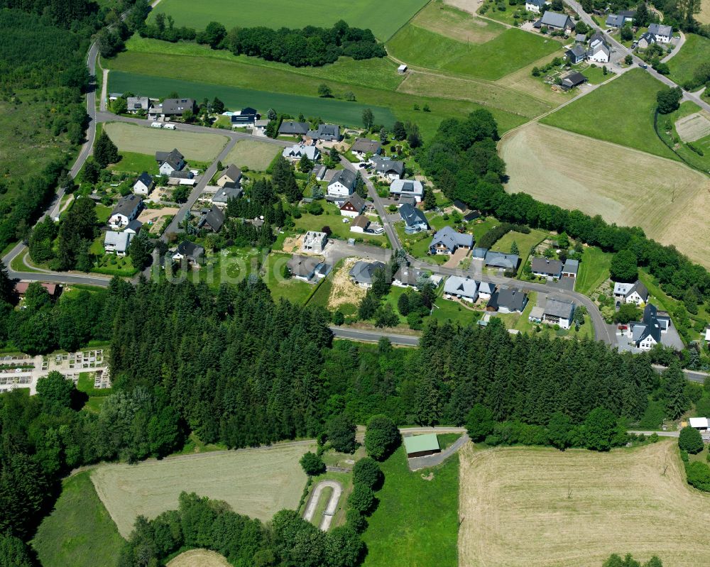 Dillendorf von oben - Dorfkern am Feldrand in Dillendorf im Bundesland Rheinland-Pfalz, Deutschland