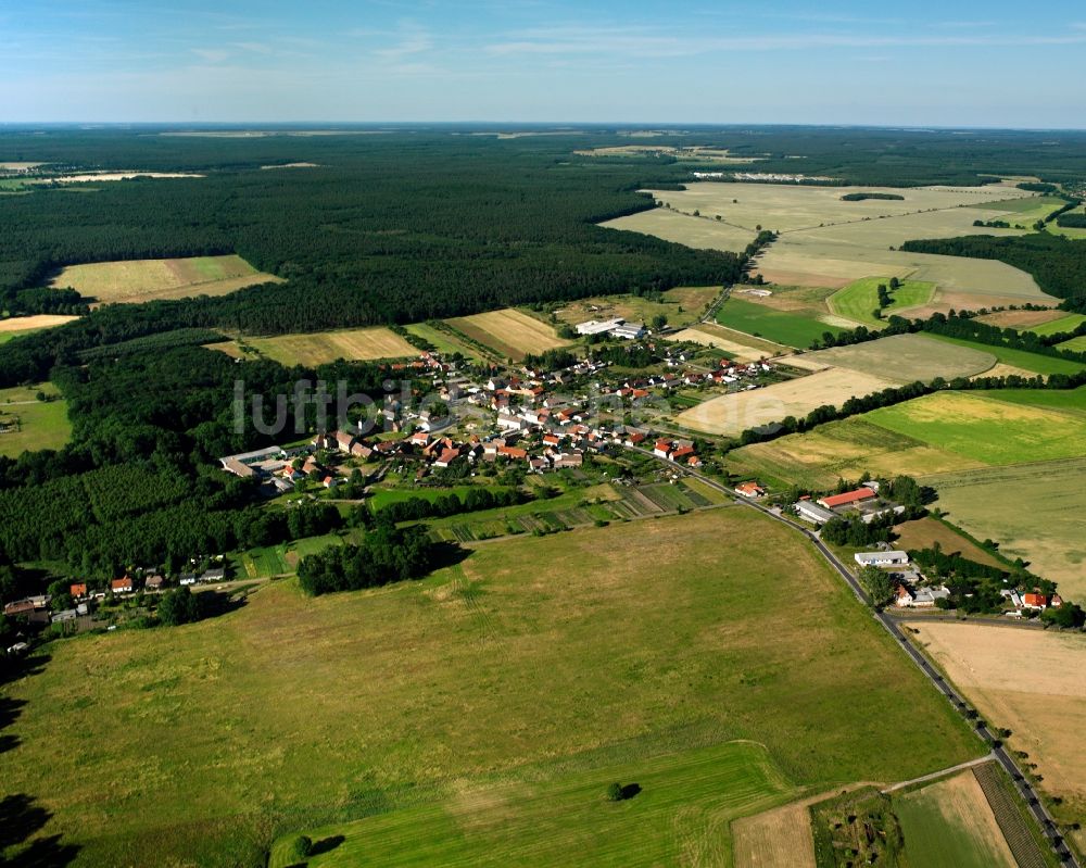 Luftaufnahme Dobritz - Dorfkern am Feldrand in Dobritz im Bundesland Sachsen-Anhalt, Deutschland