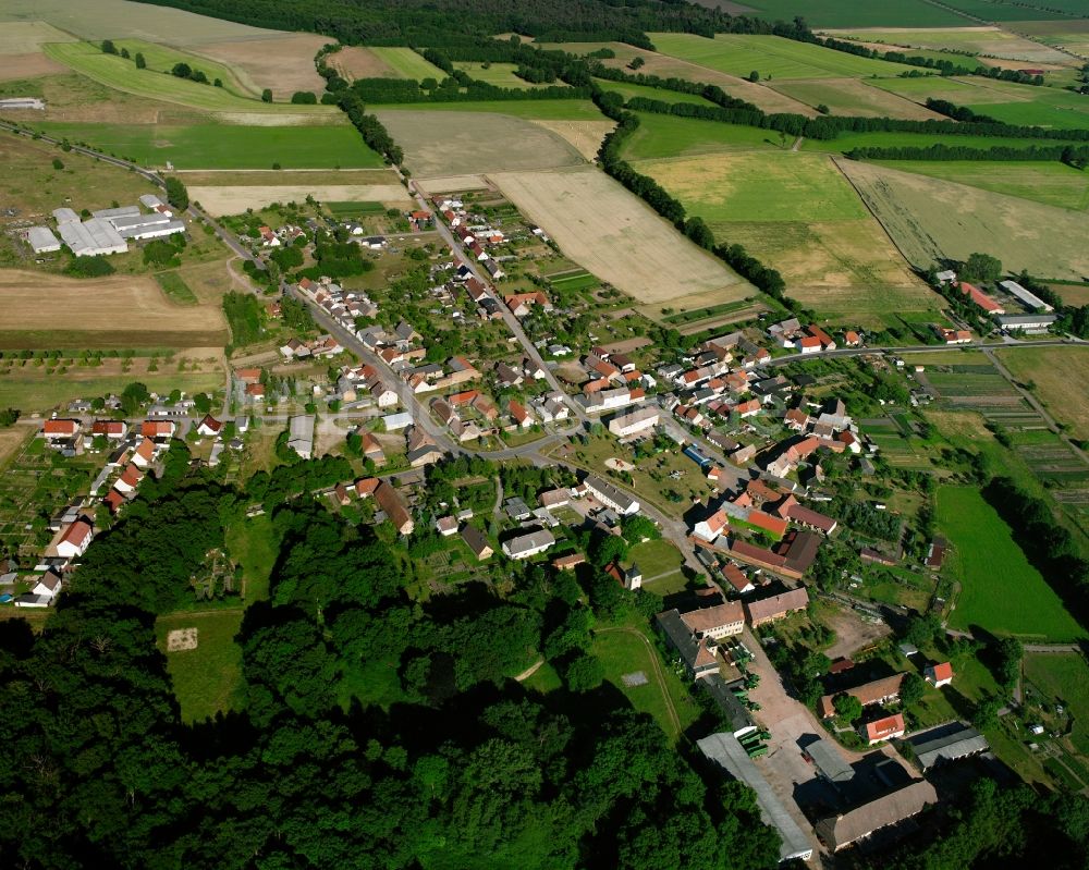 Dobritz von oben - Dorfkern am Feldrand in Dobritz im Bundesland Sachsen-Anhalt, Deutschland