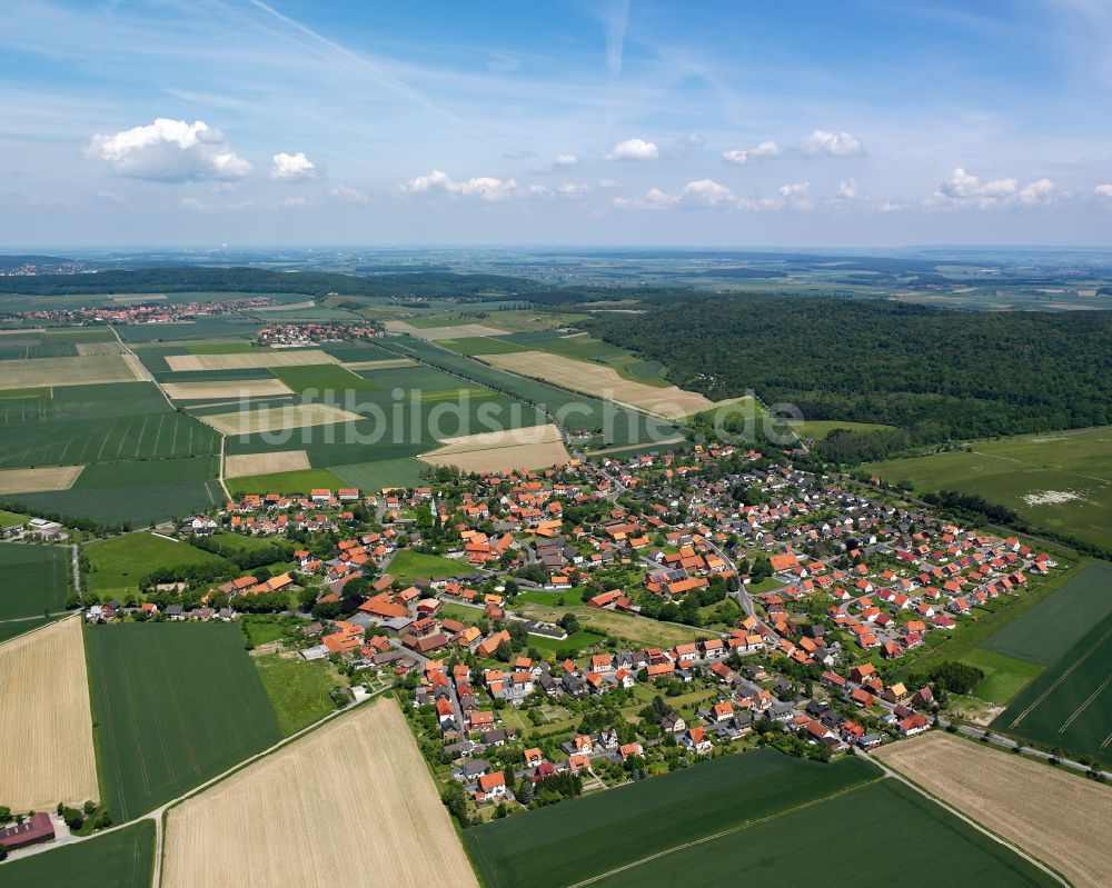 Luftaufnahme Dörnten - Dorfkern am Feldrand in Dörnten im Bundesland Niedersachsen, Deutschland