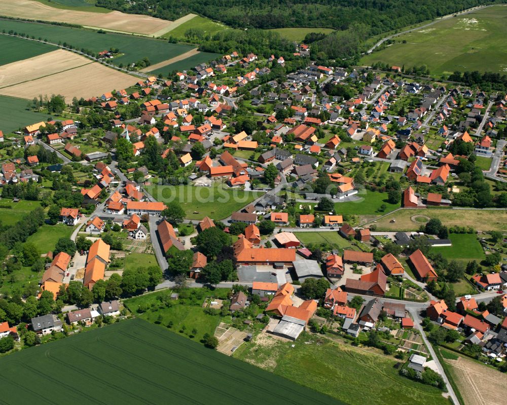 Dörnten von oben - Dorfkern am Feldrand in Dörnten im Bundesland Niedersachsen, Deutschland