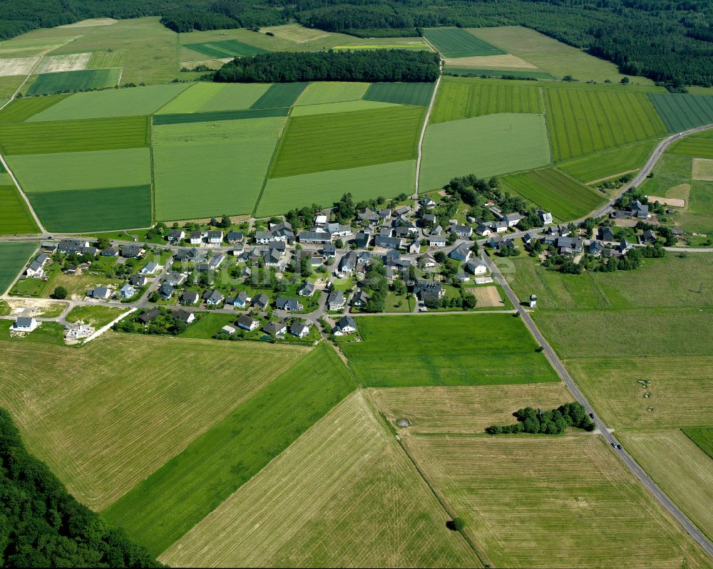 Luftbild Ebschied - Dorfkern am Feldrand in Ebschied im Bundesland Rheinland-Pfalz, Deutschland