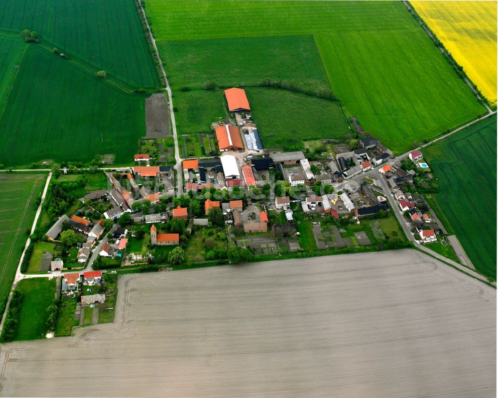 Luftaufnahme Eichholz - Dorfkern am Feldrand in Eichholz im Bundesland Sachsen-Anhalt, Deutschland