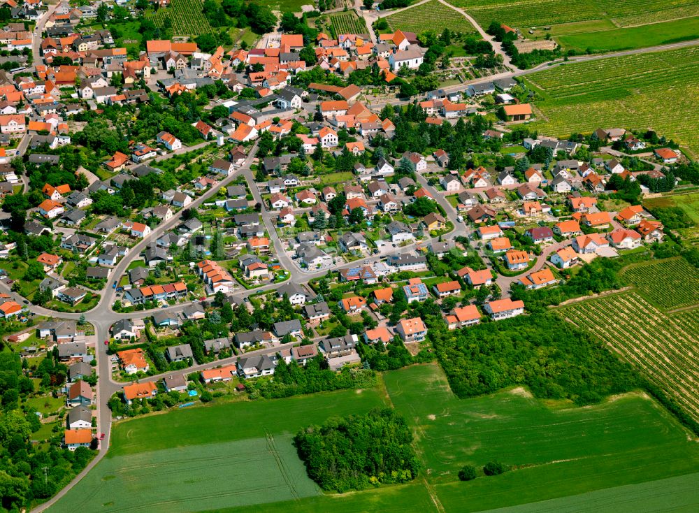 Luftaufnahme Einselthum - Dorfkern am Feldrand in Einselthum im Bundesland Rheinland-Pfalz, Deutschland