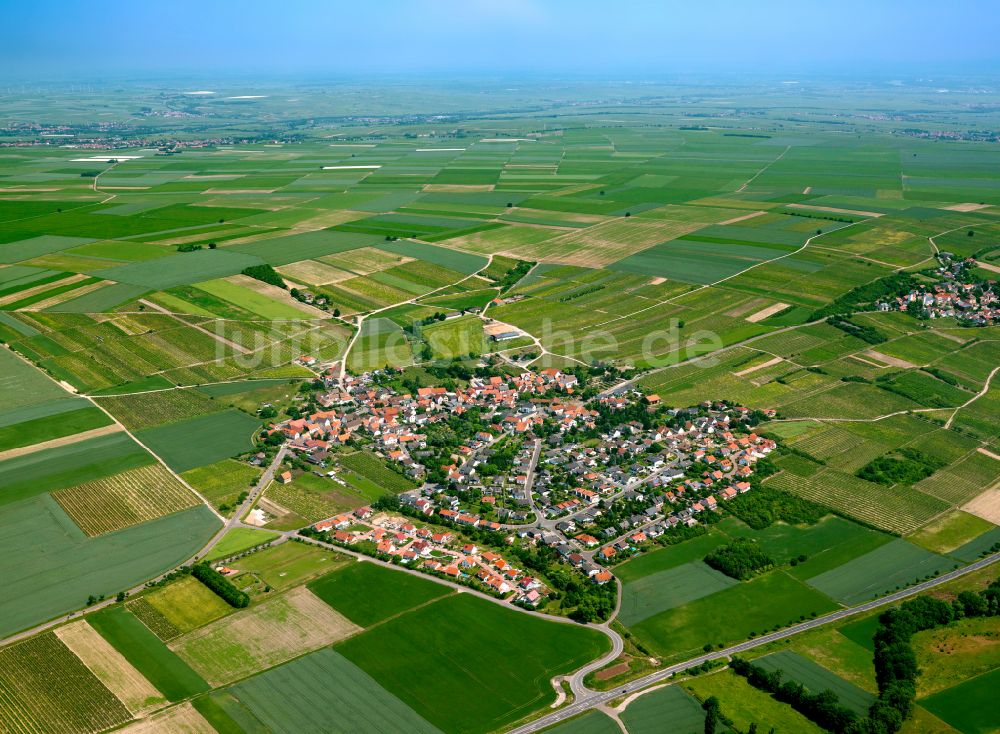 Einselthum aus der Vogelperspektive: Dorfkern am Feldrand in Einselthum im Bundesland Rheinland-Pfalz, Deutschland