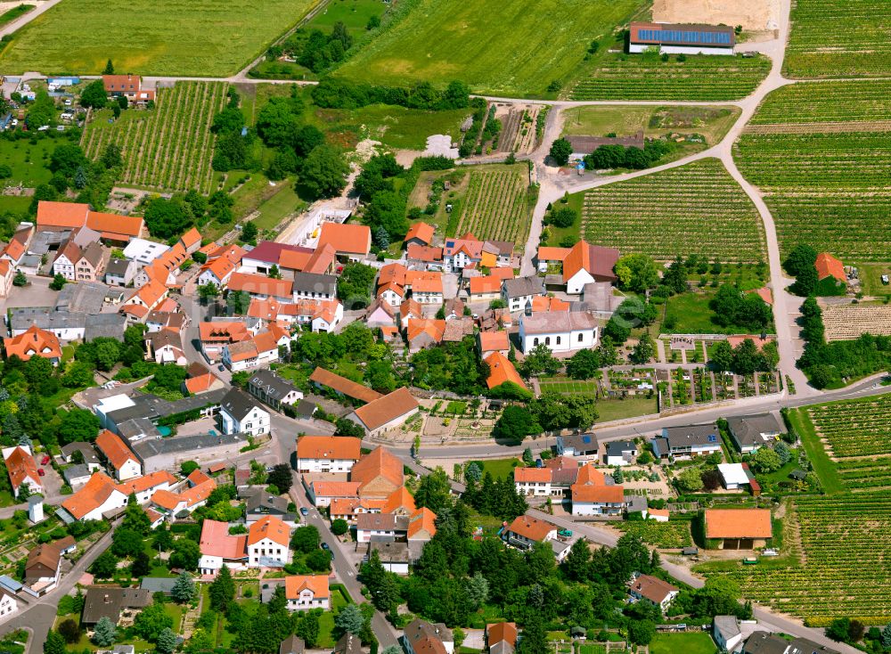 Luftbild Einselthum - Dorfkern am Feldrand in Einselthum im Bundesland Rheinland-Pfalz, Deutschland