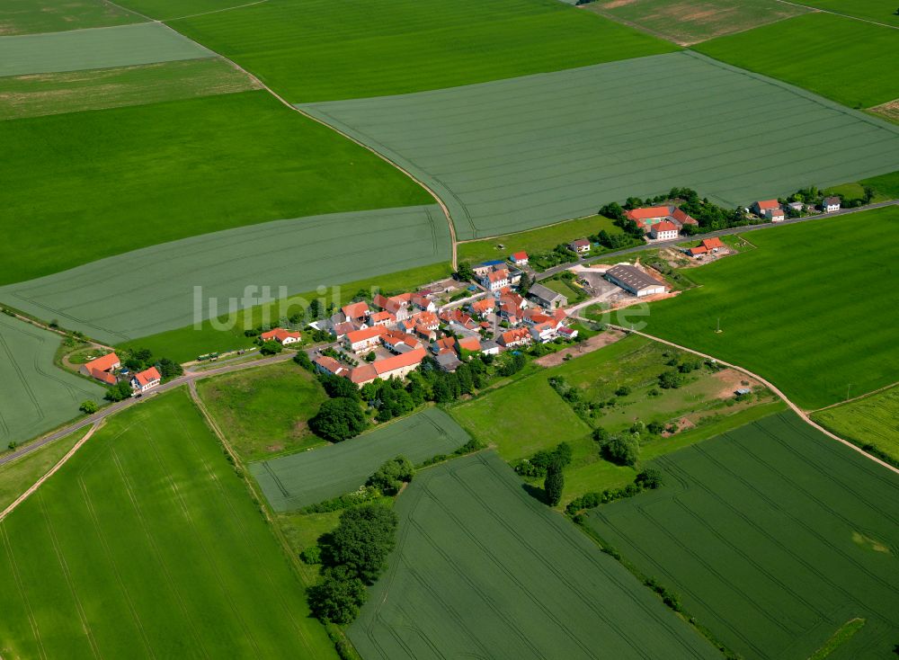 Luftaufnahme Elbisheimerhof - Dorfkern am Feldrand in Elbisheimerhof im Bundesland Rheinland-Pfalz, Deutschland