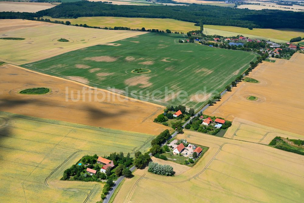 Luftaufnahme Faulenrost - Dorfkern am Feldrand in Faulenrost im Bundesland Mecklenburg-Vorpommern, Deutschland