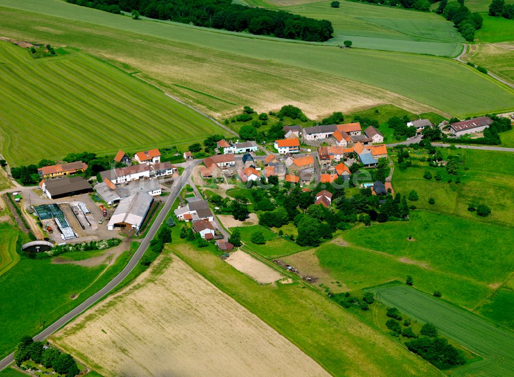 Luftaufnahme Felsbergerhof - Dorfkern am Feldrand in Felsbergerhof im Bundesland Rheinland-Pfalz, Deutschland