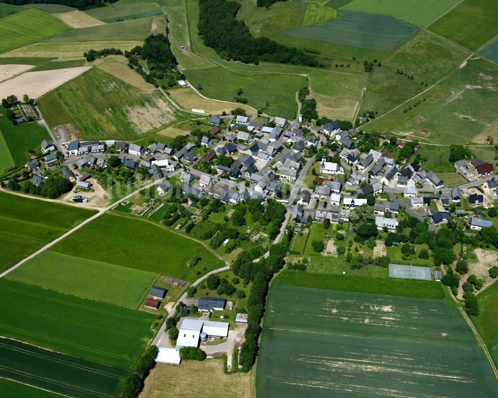 Frankweiler von oben - Dorfkern am Feldrand in Frankweiler im Bundesland Rheinland-Pfalz, Deutschland