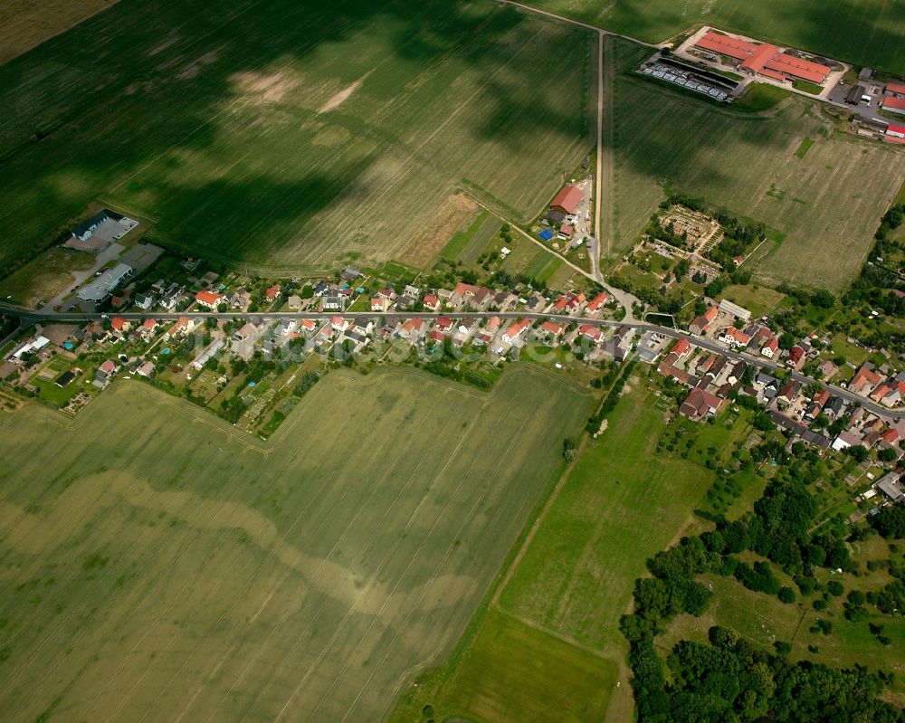 Frauenhain von oben - Dorfkern am Feldrand in Frauenhain im Bundesland Sachsen, Deutschland