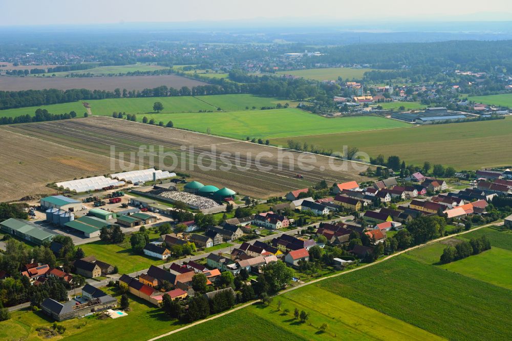 Frauwalde aus der Vogelperspektive: Dorfkern am Feldrand in Frauwalde im Bundesland Brandenburg, Deutschland