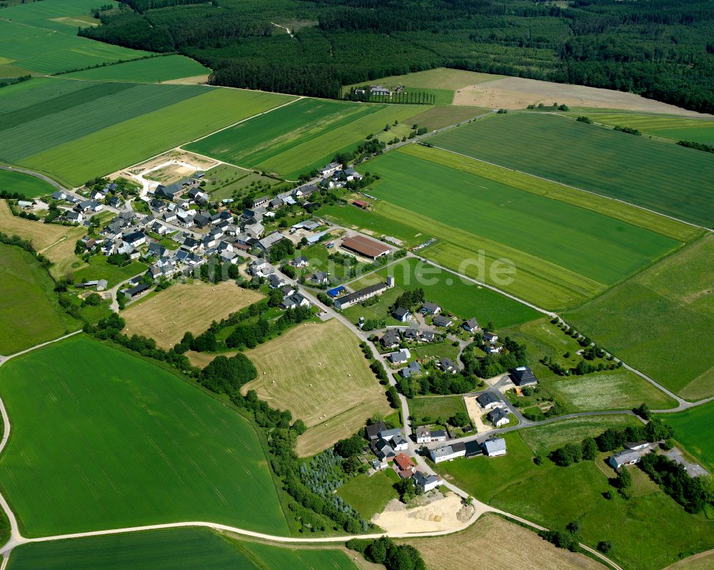 Fronhofen aus der Vogelperspektive: Dorfkern am Feldrand in Fronhofen im Bundesland Rheinland-Pfalz, Deutschland