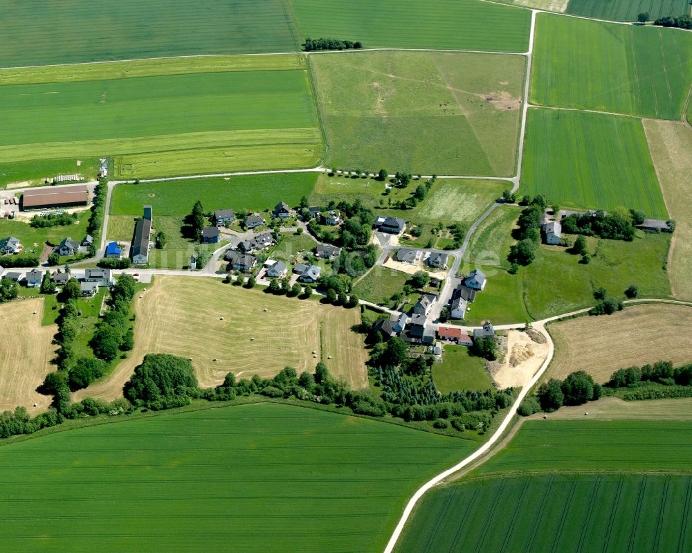 Luftbild Fronhofen - Dorfkern am Feldrand in Fronhofen im Bundesland Rheinland-Pfalz, Deutschland