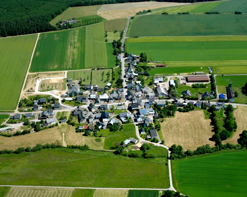 Luftaufnahme Fronhofen - Dorfkern am Feldrand in Fronhofen im Bundesland Rheinland-Pfalz, Deutschland