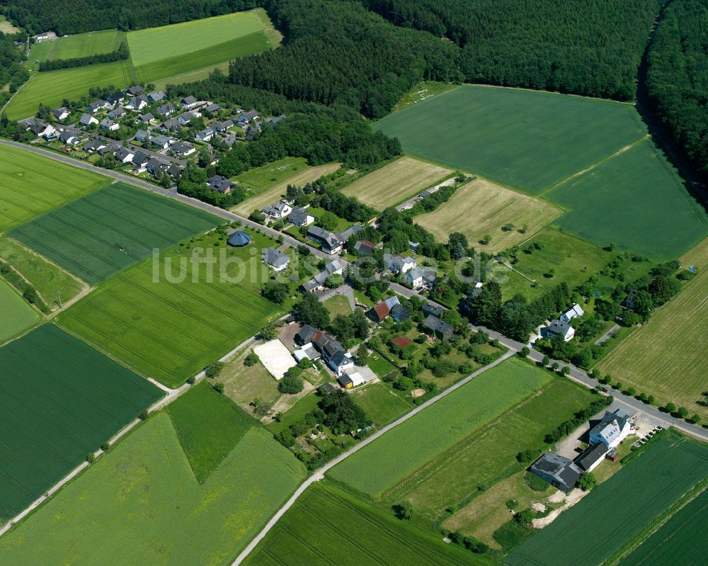 Gammelshausen von oben - Dorfkern am Feldrand in Gammelshausen im Bundesland Rheinland-Pfalz, Deutschland