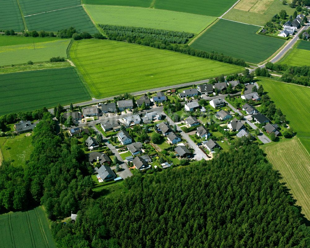 Gammelshausen aus der Vogelperspektive: Dorfkern am Feldrand in Gammelshausen im Bundesland Rheinland-Pfalz, Deutschland