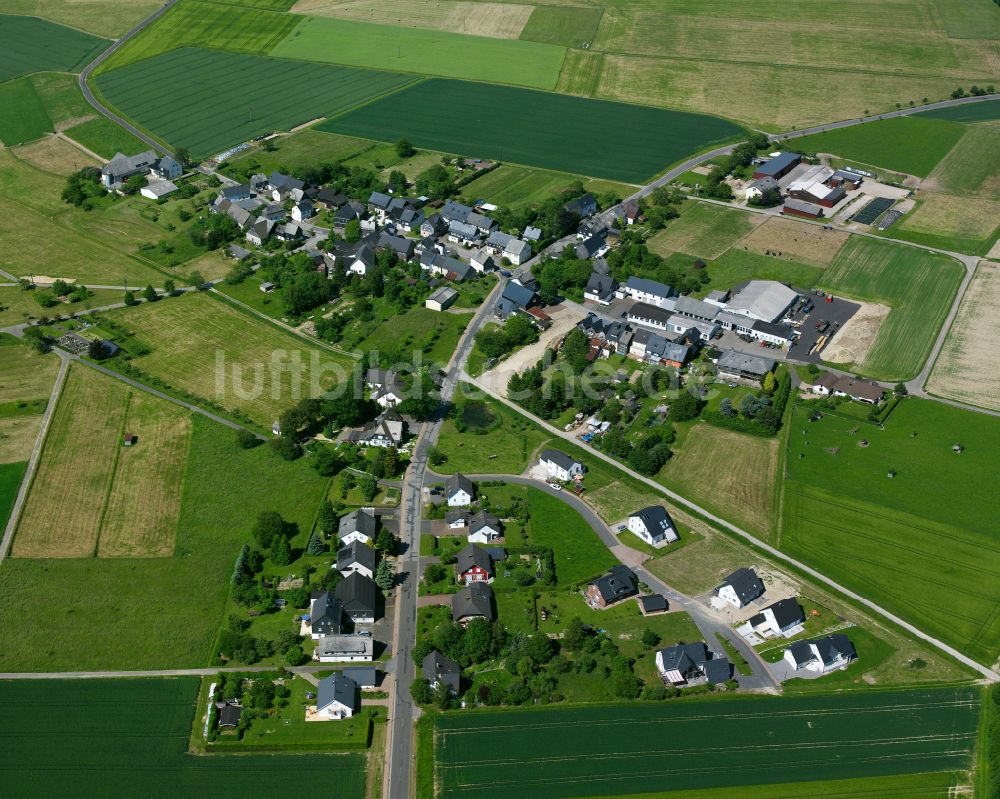 Luftaufnahme Gammelshausen - Dorfkern am Feldrand in Gammelshausen im Bundesland Rheinland-Pfalz, Deutschland