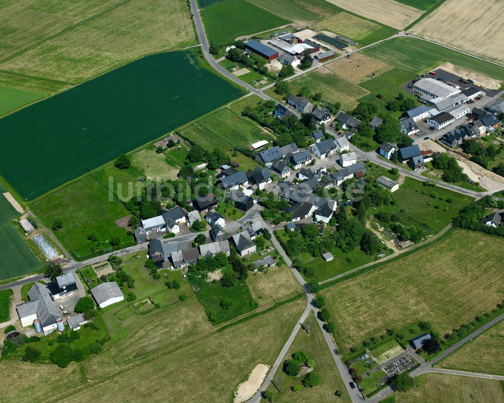 Gammelshausen aus der Vogelperspektive: Dorfkern am Feldrand in Gammelshausen im Bundesland Rheinland-Pfalz, Deutschland