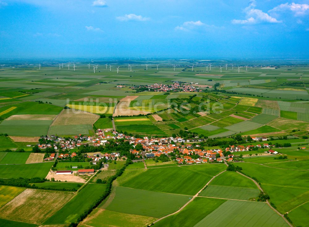 Luftaufnahme Gauersheim - Dorfkern am Feldrand in Gauersheim im Bundesland Rheinland-Pfalz, Deutschland