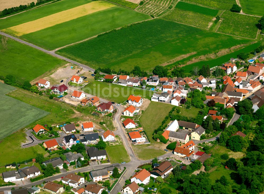 Gauersheim aus der Vogelperspektive: Dorfkern am Feldrand in Gauersheim im Bundesland Rheinland-Pfalz, Deutschland