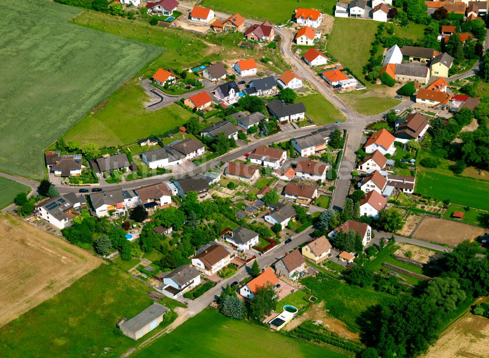 Luftbild Gauersheim - Dorfkern am Feldrand in Gauersheim im Bundesland Rheinland-Pfalz, Deutschland