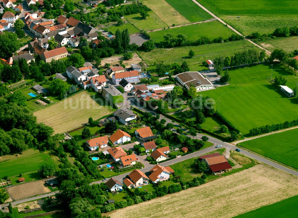 Luftaufnahme Gauersheim - Dorfkern am Feldrand in Gauersheim im Bundesland Rheinland-Pfalz, Deutschland