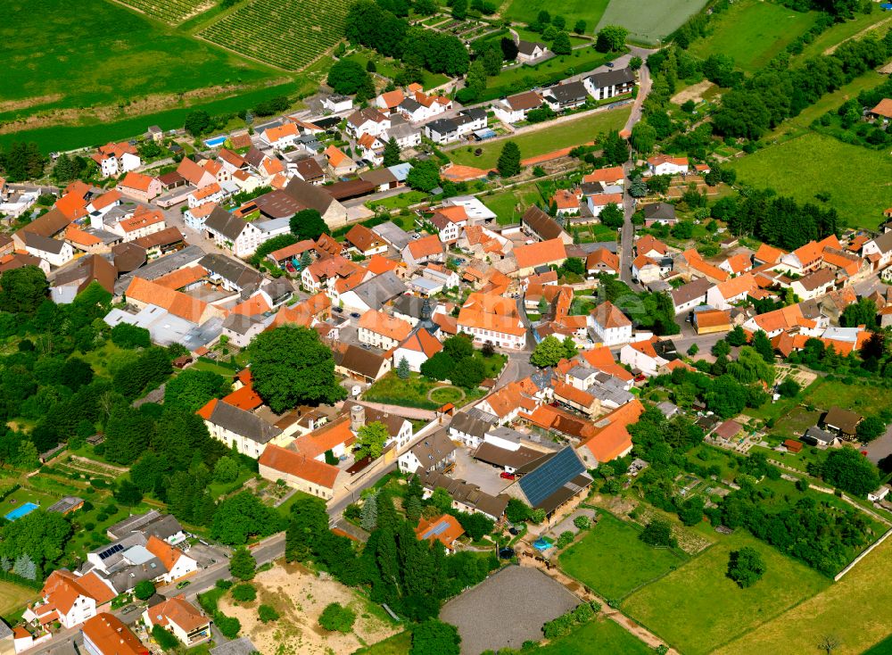 Gauersheim aus der Vogelperspektive: Dorfkern am Feldrand in Gauersheim im Bundesland Rheinland-Pfalz, Deutschland