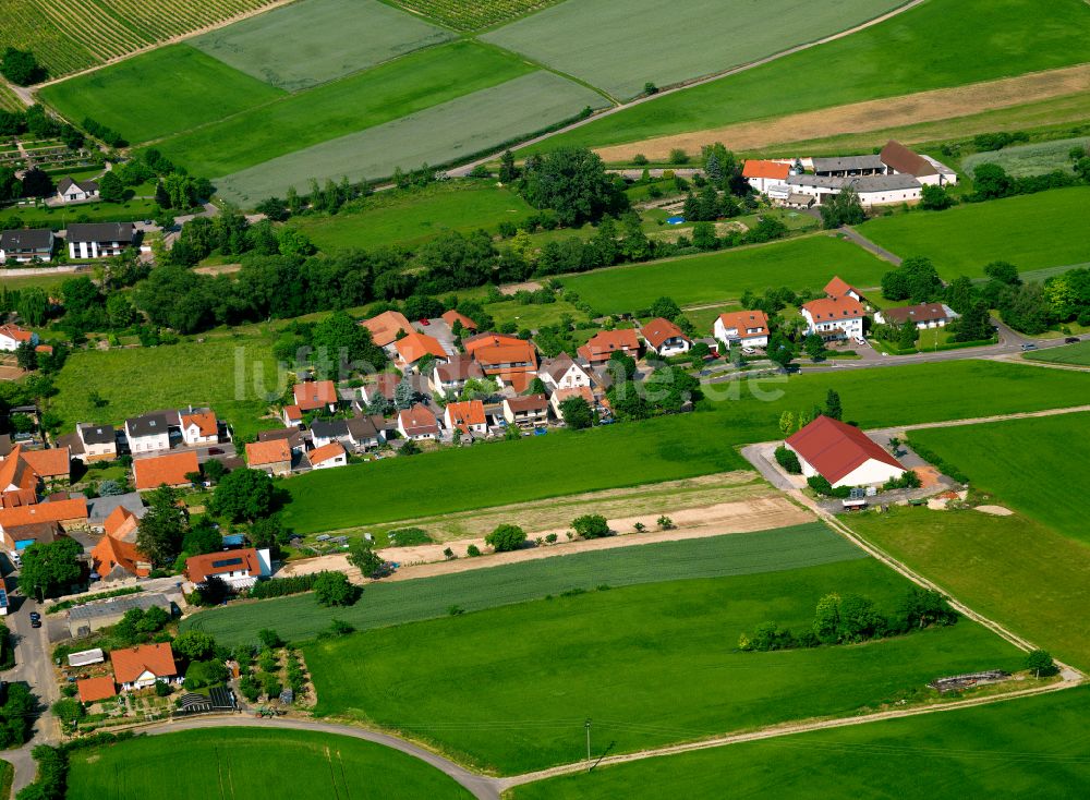 Gauersheim von oben - Dorfkern am Feldrand in Gauersheim im Bundesland Rheinland-Pfalz, Deutschland