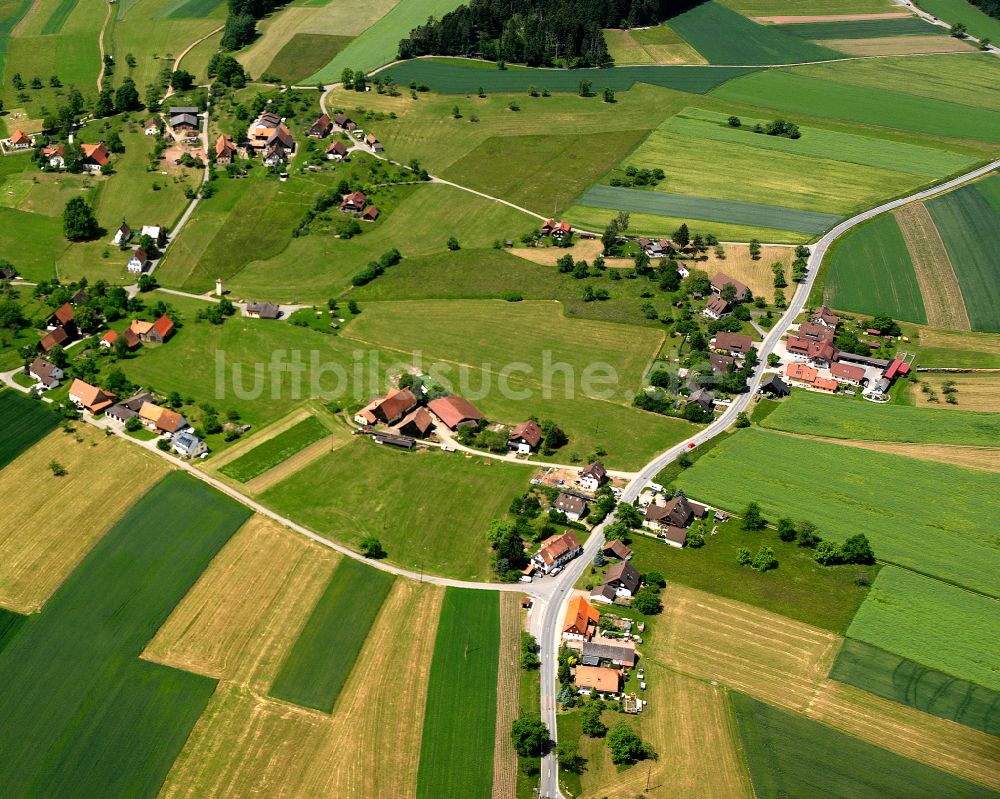 Gaugenwald aus der Vogelperspektive: Dorfkern am Feldrand in Gaugenwald im Bundesland Baden-Württemberg, Deutschland