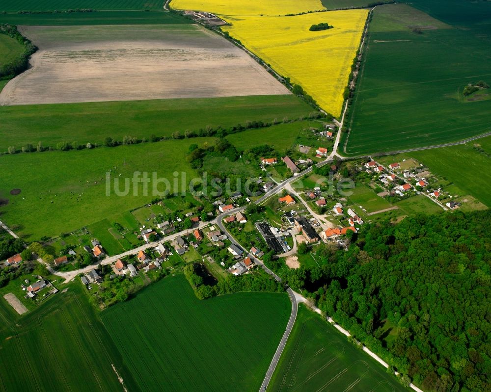 Göbel aus der Vogelperspektive: Dorfkern am Feldrand in Göbel im Bundesland Sachsen-Anhalt, Deutschland