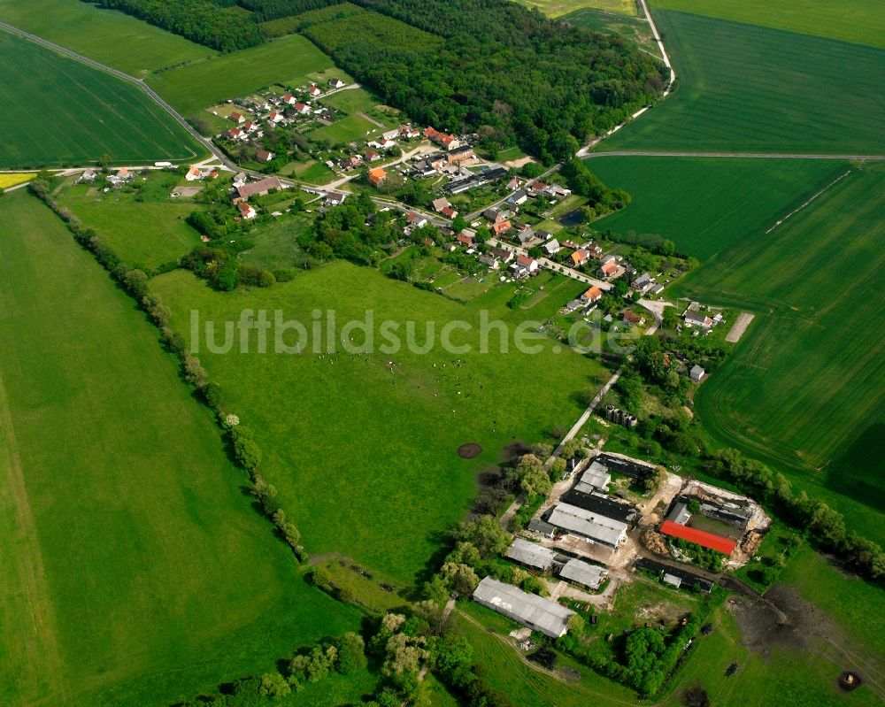 Luftbild Göbel - Dorfkern am Feldrand in Göbel im Bundesland Sachsen-Anhalt, Deutschland