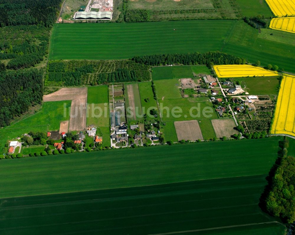 Luftaufnahme Geesthacht - Dorfkern am Feldrand in Geesthacht im Bundesland Schleswig-Holstein, Deutschland