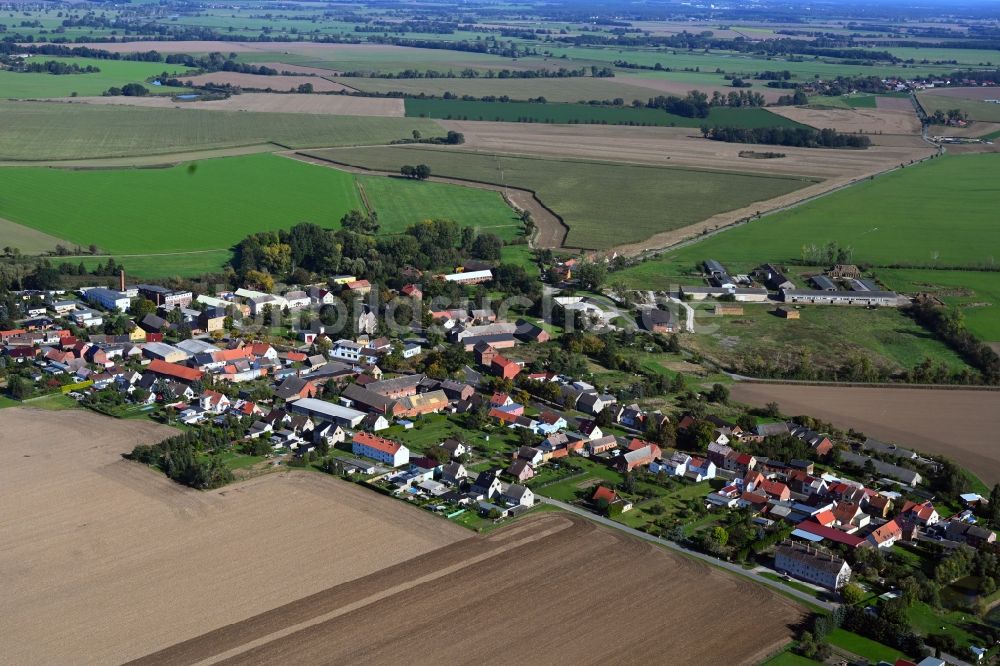 Globig aus der Vogelperspektive: Dorfkern am Feldrand in Globig im Bundesland Sachsen-Anhalt, Deutschland