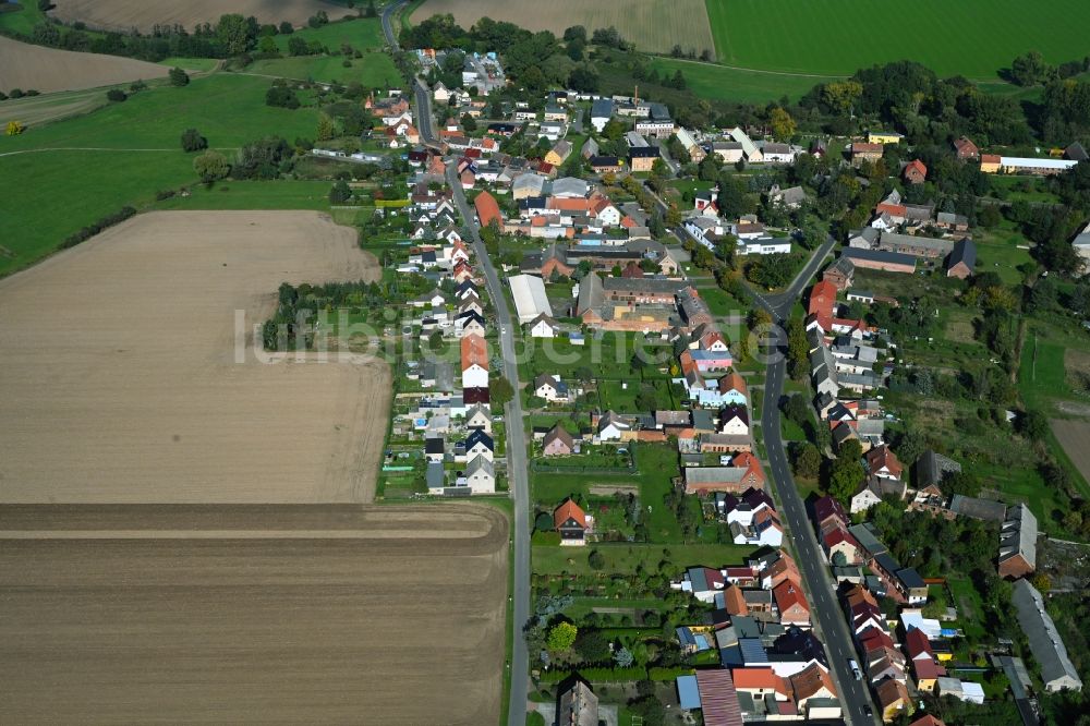 Luftbild Globig - Dorfkern am Feldrand in Globig im Bundesland Sachsen-Anhalt, Deutschland