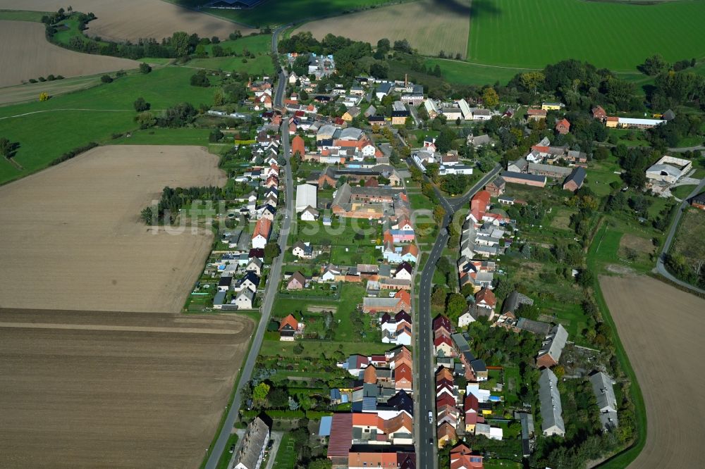 Luftaufnahme Globig - Dorfkern am Feldrand in Globig im Bundesland Sachsen-Anhalt, Deutschland