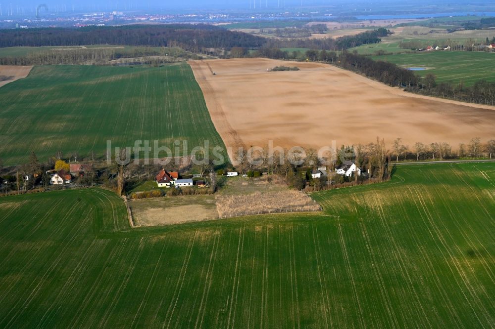 Gollmitz aus der Vogelperspektive: Dorfkern am Feldrand in Gollmitz im Bundesland Brandenburg, Deutschland