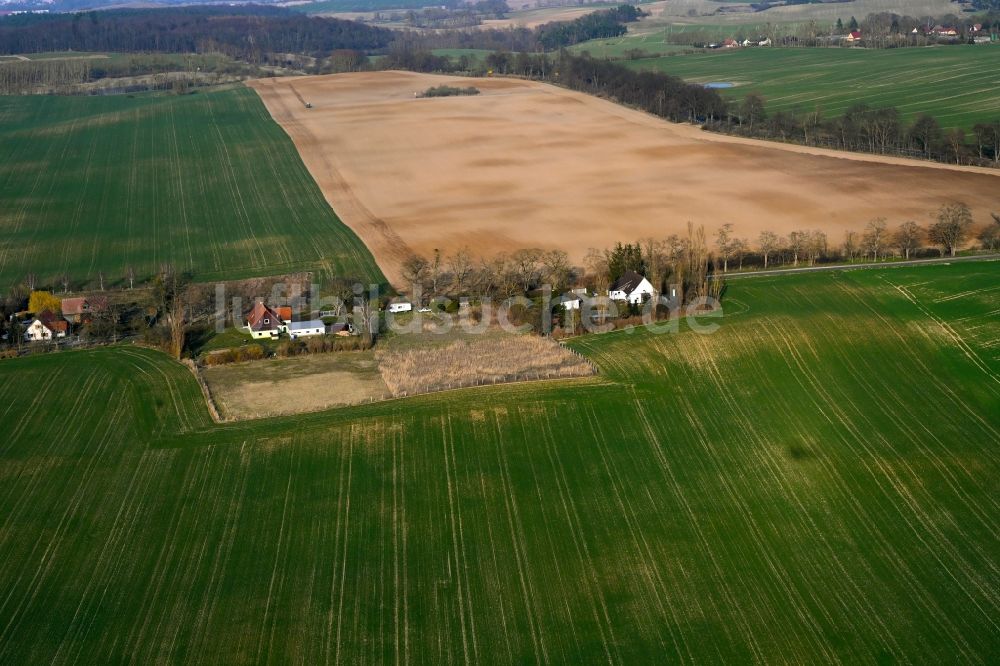 Luftbild Gollmitz - Dorfkern am Feldrand in Gollmitz im Bundesland Brandenburg, Deutschland